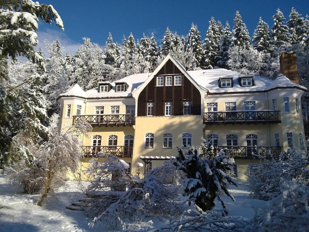 Villa Wilisch 앰츠버그 외부 사진